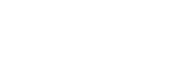Logo Light