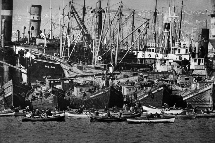 araguler istanbul photos